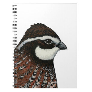 Carnet Bobwhite Quail Head