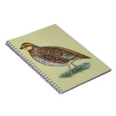 Carnet Bobwhite Quail Hen (Côté Droit)