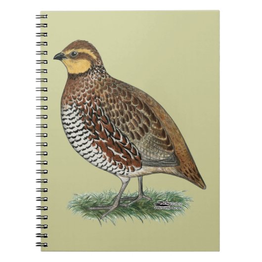 Carnet Bobwhite Quail Hen (Devant)