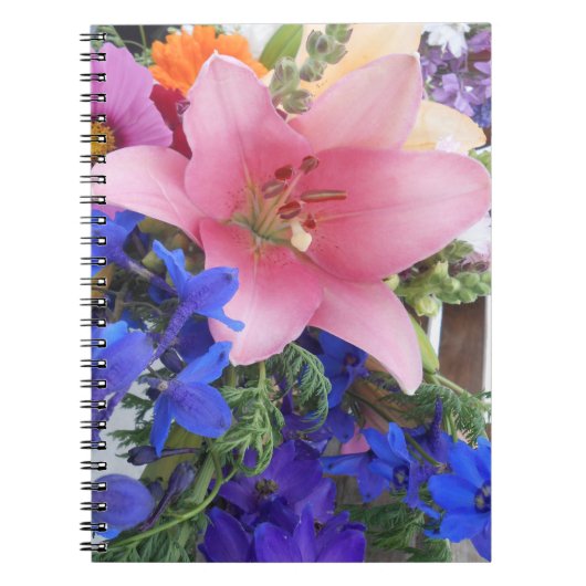 Carnet Bodichon (Devant)