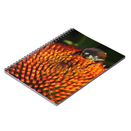 Carnet Bogue sur la fleur (Côté gauche)