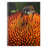 Carnet Bogue sur la fleur (Devant)