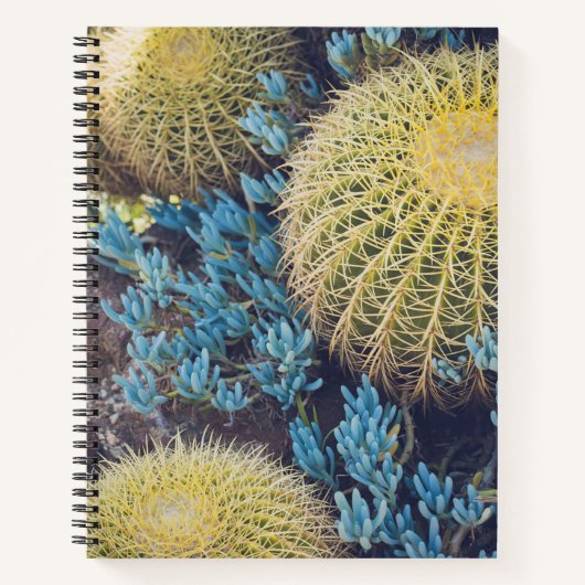 Carnet Boho Cactus Garden (Devant)