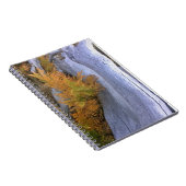 Carnet Bois d'automne (Côté Droit)