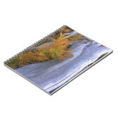 Carnet Bois d'automne (Côté gauche)