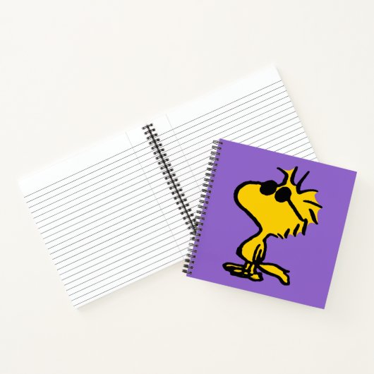 Carnet Bois En Lunettes De Soleil (Intérieur)
