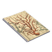 Carnet Bois et petit corail (Côté Droit)