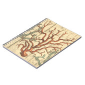 Carnet Bois et petit corail (Côté gauche)