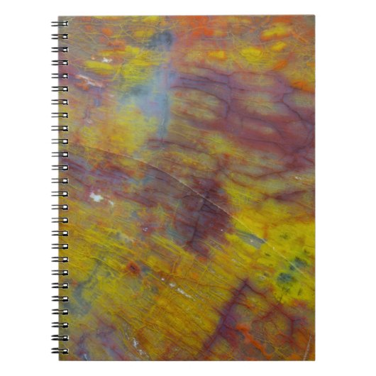 Carnet Bois Pétrifié (Devant)