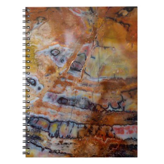 Carnet Bois Pétrifié Brun (Devant)