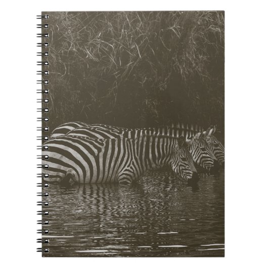 CARNET BOISSON FAMILIALE ZEBRA (Devant)