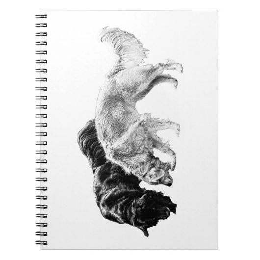 Carnet Bond d'automne (Devant)