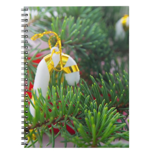 Carnet Bonne année (Devant)