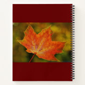 Carnet Bonne Automne Route Automne (Dos)