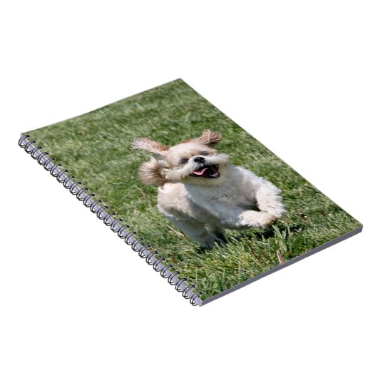 Carnet Bonne exécution Shih Tzu (Côté Droit)