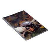 Carnet Bonne tortue (Côté Droit)