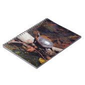 Carnet Bonne tortue (Côté gauche)