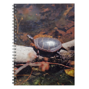Carnet Bonne tortue