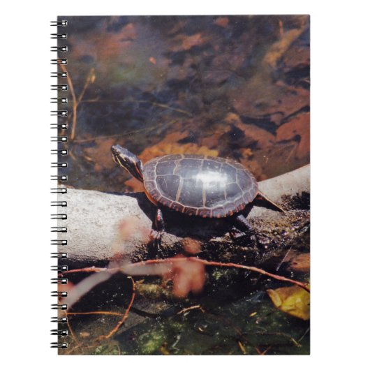 Carnet Bonne tortue (Devant)