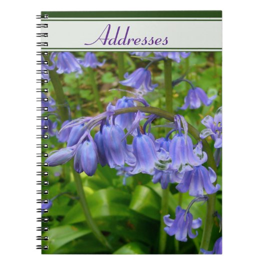 Carnet Bonnie Bluebell (Devant)