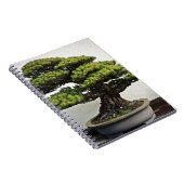 Carnet Bonsaïs de White Pine de Japonais (Côté Droit)