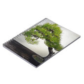 Carnet Bonsaïs japonais de pin noir (Côté gauche)