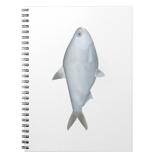 Carnet Bony Bream (Devant)