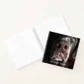 Carnet Boop My Nez Labrador Retriever Gros plan Photo (Intérieur)