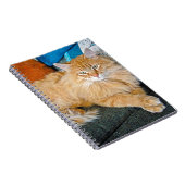 Carnet Boppy (Côté Droit)