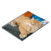 Carnet Boppy (Côté gauche)