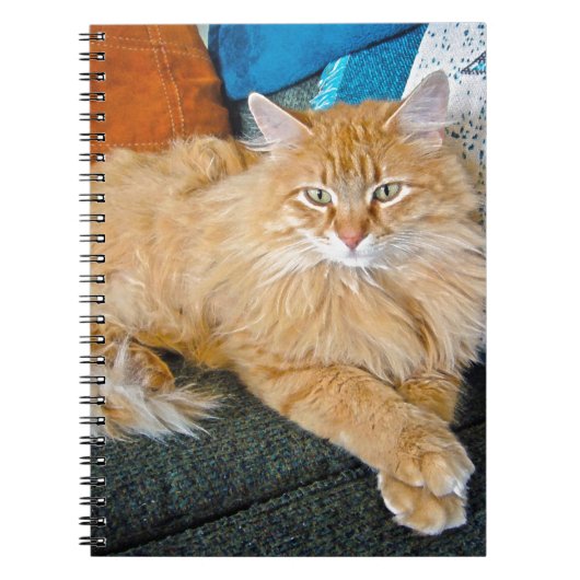 Carnet Boppy (Devant)