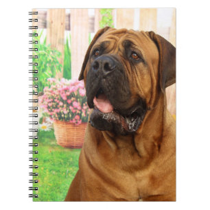 Carnet Bordeaux Mastiff