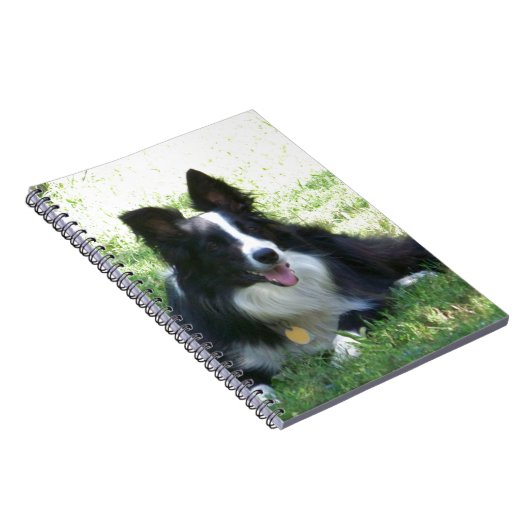 Carnet Border Collie (Côté Droit)