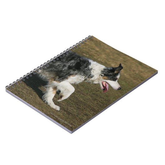 Carnet Border collie courant 1 (Côté gauche)