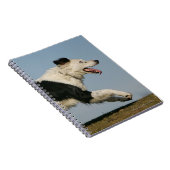 Carnet Border collie courant 2 (Côté Droit)