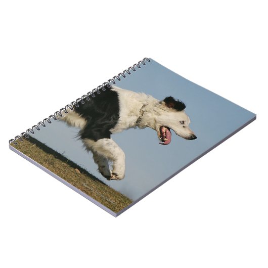 Carnet Border collie courant 2 (Côté gauche)