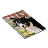 Carnet Border collie haletant 1 (Côté Droit)