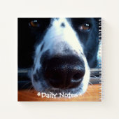 Carnet Border Collie Heeler Mix Dog Boop My Nose (Dos)