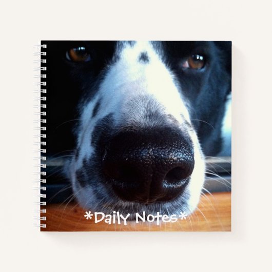 Carnet Border Collie Heeler Mix Dog Boop My Nose (Devant)