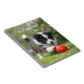 Carnet Border Collie mignon avec balle rouge (Côté Droit)