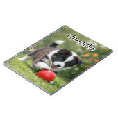 Carnet Border Collie mignon avec balle rouge (Côté gauche)