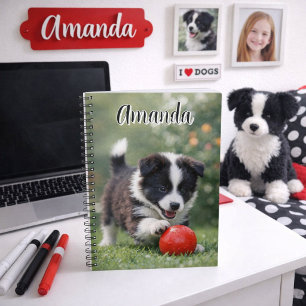 Carnet Border Collie mignon avec balle rouge