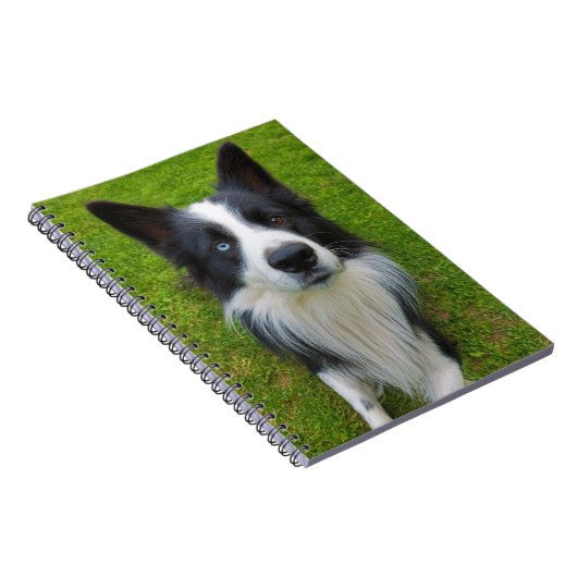 Carnet Bordure Collie (Côté Droit)