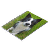 Carnet Bordure Collie (Côté gauche)