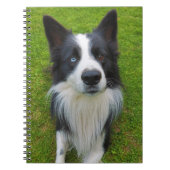 Carnet Bordure Collie (Devant)