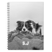 Carnet Bordure Collie (Devant)