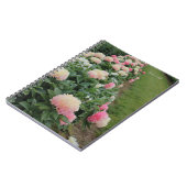 Carnet Bordure de Peine rose (Côté gauche)