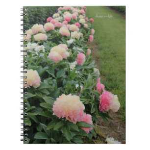 Carnet Bordure de Peine rose