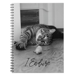 Carnet Bored Tabby Cat allongé sur le côté Staring à Toy