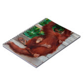 Carnet Bornéo orangoutan (Côté gauche)